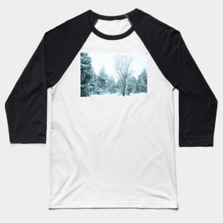 Snow and frost covered pine trees Baseball T-Shirt